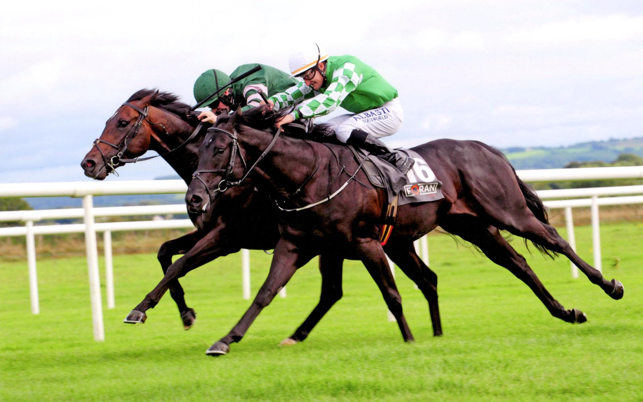 KESTREL PRINCE battles bravely to land his second career win at the Roscommon track, 20th August '18